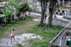 Terekam CCTV Aksi Pencurian Anjing di Palangkaraya Gagal Usai Kepergok Pemilik Rumah