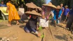 Aksi Warga Lebak Tanam Padi di Jalan Rusak, Sindir Janji Gubernur Banten