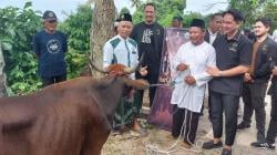 HIPMI Balikpapan Salurkan Hewan Kurban ke Masjid Terpencil di Balikpapan Selatan