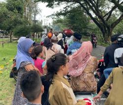 Pohon Besar Tumbang Tutupi Badan Jalan di Sawang, Akses Jalan Terganggu dan PLN Padam