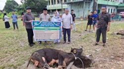 UISU Sembelih 19 Hewan Kurban, Kuatkan Semangat Pengorbanan dan Kepedulian Sosial