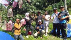 Panen Perdana Kelengkeng di Kebun Puji, Camat Belik: Sangat Berpotensi Jadi Agrowista