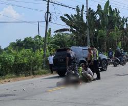Kecelakaan Maut di Jalan Bojonegoro–Cepu, Seorang Kakek Meninggal Dunia