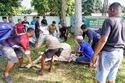 Warga Ucapkan Terima Kasih kepada Korem 102/Panju Panjung atas Pembagian Daging Kurban di Hari Raya