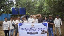 21 Sapi Kurban Disalurkan GKP untuk Warga Sekitar Tambang di Hari Raya Iduladha 1446 H