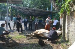 Perumda Tirta Rangga Subang Bagikan Daging Hewan Qurban, Perkuat Nilai Sosial dan Spiritual