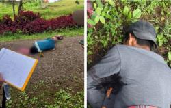 Murka, Mabes TNI Kecam OPM Pembunuh 2 Pekerja Gereja