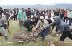 Gema Takbir Iringi Semarak Idul Adha di Bener Meriah, Warga Sambut Hari Kurban dengan Penuh Sukacita