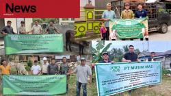 Rayakan Iduladha 1446 H, Musim Mas Salurkan 201 Hewan Kurban di Wilayah Operasional