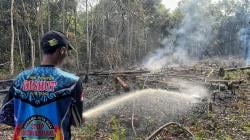 Kebakaran lahan di Petuk Liti Pulang Pisau, Tim Dalkarhutla Dishut Kalteng Segera lakukan pemadaman
