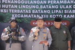 Dijadikan Kebun Sawit Puluhan Hektare, Polda Riau Ungkap Perusakan Kawasan Hutan Lindung di Kampar