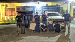 2 Mobil Muat Puluhan Jeriken Berisi Solar Curian Diamankan, Polres Kolaka Tangkap 4 Pelaku