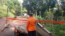 Jalur Tulungagung-Trenggalek Alami Longsor, Camat Pagerwojo Imbau Pengguna Jalan Waspada