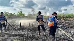 Kebakaran Lahan Gambut di Palangka Raya Terus Terjadi, Warga Diimbau Tak Bakar Lahan