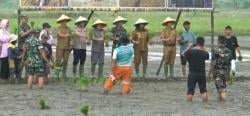 TNI Tanam Padi Bareng Petani Cilegon, Bukti Komitmen Jaga Ketahanan Pangan