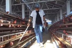 Kisah Hoho Alkaf, Kades Nyentrik Yakuza Banjarnegara Sukses Sulap Desa Jadi Lumbung Miliaran Rupiah
