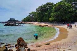 Hutan Mangrove Pulau Jemur dalam Bahaya, Penghulu Laporkan Perusakan ke Polisi