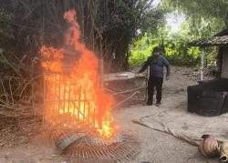 Polisi Bongkar Perjudian Sabung Ayam di Gresik, Pelaku Kabur