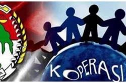 Koperasi Merah Putih Dinilai Saingi BUMDes, Apindo: Kurang Knowledge