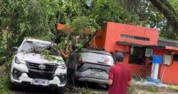 ANGIN KENCANG Hantam Medan: 15 Pohon Tumbang, Kantor Pos Rusak, BMKG Beri Peringatan!