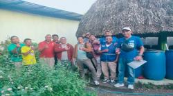 Pertanian Organik Ramah Lingkungan, Fokus Studi PLAN Timor Leste di Kefamenanu