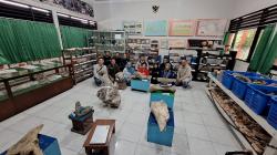 Museum 13 SDN Panjunan 2 Pukau Tim Geopark Nasional, Kolaborasi dengan Unigoro Siap Dijalankan