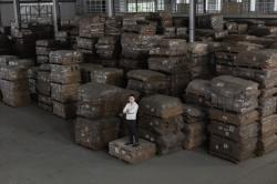 Famos Eco Wood Perkenalkan Energi Terbarukan dari Limbah Kayu ke Dunia