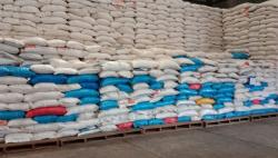 Stok Beras di Provinsi Maluku Tersedia hingga Enam Bulan Mendatang