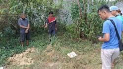 Teror Pencurian Ternak di Batu Payuang: Jeroan Sapi Ditemukan Dekat Menara Telekomunikasi