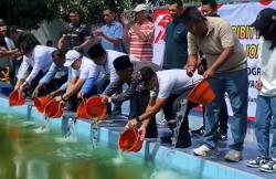 10 Ribu Bibit Ikan Nila Ditebar, Bekas Kolam Renang di Jombang Kini Jadi Benteng Ketahanan Pangan