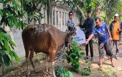Idul Adha 2025, Jababeka dan Tenant Kawasan Industri Salurkan 109 Hewan Kurban
