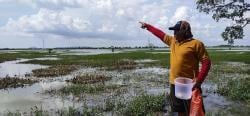Waduk Jabung Ring Dyke Mangkrak, Pemicu Petani Tuban Meradang Terancam Gagal Panen