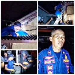 Damkar Palangka Raya Evakuasi Sarang Tawon Vespa yang Sengat Balita, Proses Berlangsung 45 Menit