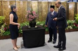 Diplomasi Bunga di Singapura, Presiden Prabowo Beri Nama Anggrek Paraphalante Dora Sigar Soemitro 