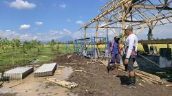 Berharap Jadi Sumber PAD, Desa Jatiurip Probolinggo Mulai Bangun Program Ketahanan Pangan