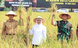 Gubernur Khofifah Apresiasi Kampung Pandu Lamongan, Siap Replikasi Konsep Pertanian Terpadu