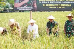 Kampung Pandu Lamongan Jadi Percontohan Ketahanan Pangan Terpadu Tanpa Limbah