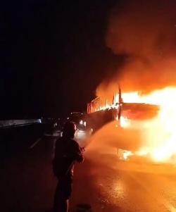 Bus Akas Aurora Dilalap si Jago Merah di Tol Pejagan - Kanci KM 236, 8 Korban Selamat