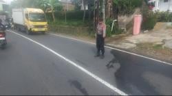 Pengendara Motor Alami Cedera Serius dalam Kecelakaan di Jalan Raya Cipelah Garut