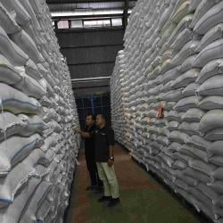 Bulog Tegal Optimis, Targerkan Serap Puluhan Ribu Ton Beras Petani