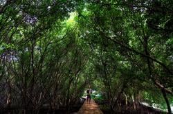 10 Wisata Alam Indramayu yang Wajib Dikunjungi Sebelum Ramai!