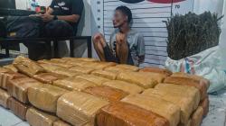 Satresnarkoba Polres Aceh Utara Gagalkan Peredaran Ganja, 72 Bal dan 1 Karung Disita
