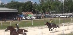 Ini Kemeriahan Pembukaan Palapang Njara Humba Cup I di Sumba Timur