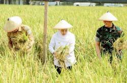 Teknologi Tepat Guna dan Integrated Farming, Kunci Sukses Ketahanan Pangan Jatim Versi Khofifah