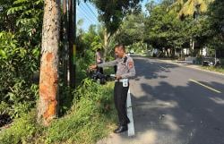 Kecelakaan Tunggal, Pelajar Asal Pemalang Tewas Tabrak Pohon di JJLS Kulonprogo