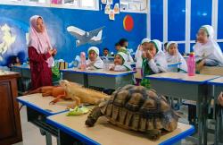 Belajar Seru ala MIMDATU, Guest Teacher Hadirkan Pengalaman Belajar yang Tak Terlupakan