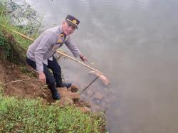 Geger! Potongan Kaki Manusia Ditemukan di Sungai Batang Anai, Diduga Terkait Mayat Tanpa Kepala 
