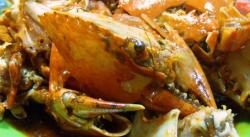 7 Makanan Khas Balikpapan yang Wajib Dicoba, Rasanya Bikin Nagih!