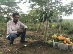 Peran Strategis, DPD TMI Kabupaten Lebak Dorong Ketahanan Pangan