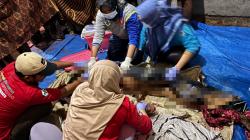 1 Warga Diduga Tewas Diserang Beruang di Way Kanan, Polsi Imbau Warga Meningkatkan Kewaspadaan